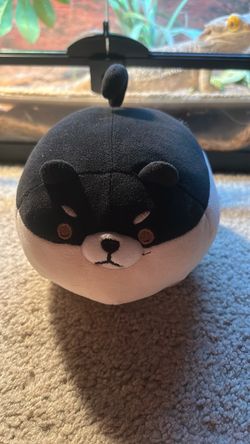 Little black Shiba Inu plush