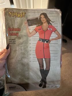 Melonie Felony Convict Costume