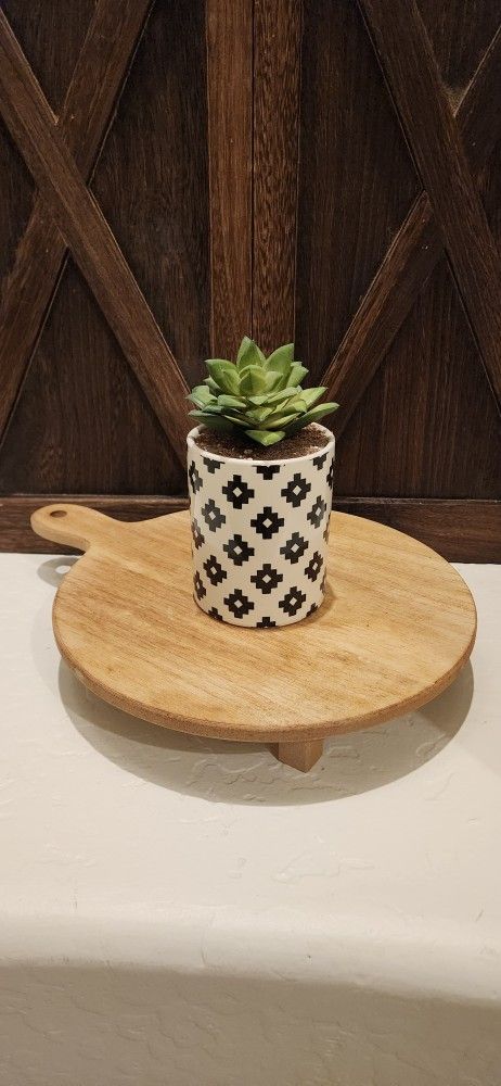 Handmade Ceramic Succulent 