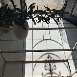 Modern Tempered Glass Console Table - Gold Metal Frame