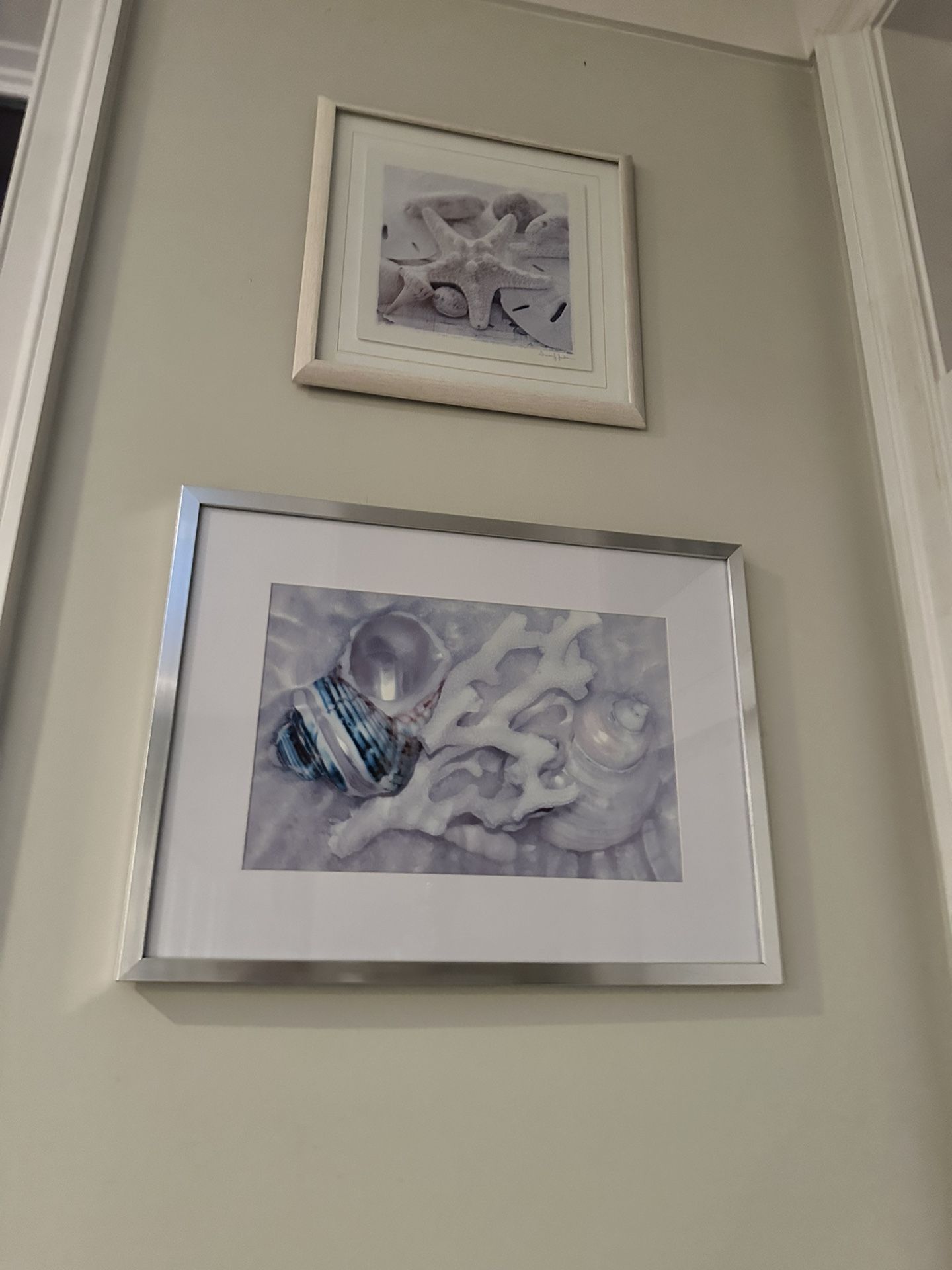 Coastal Sea Shell Framed Picture - Set of 2