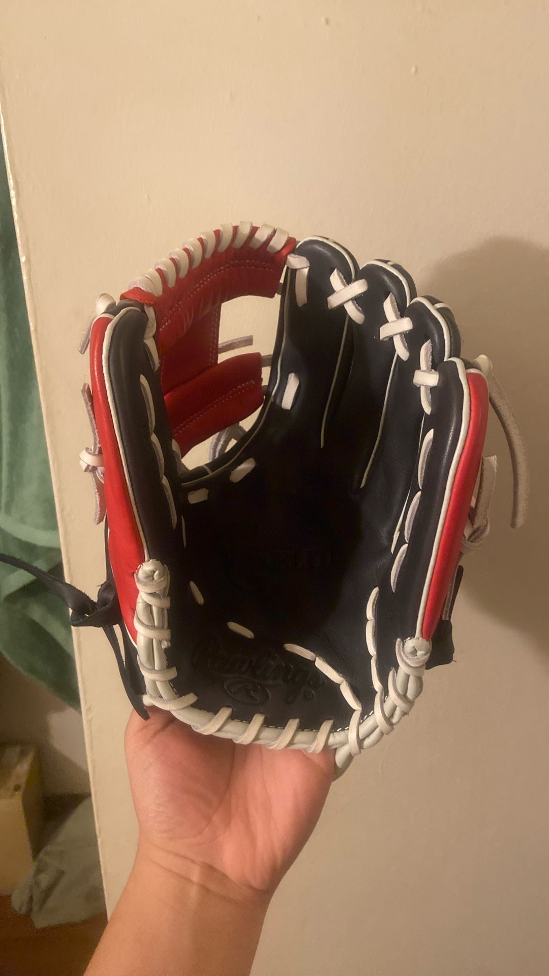 Rawlings Infield Glove