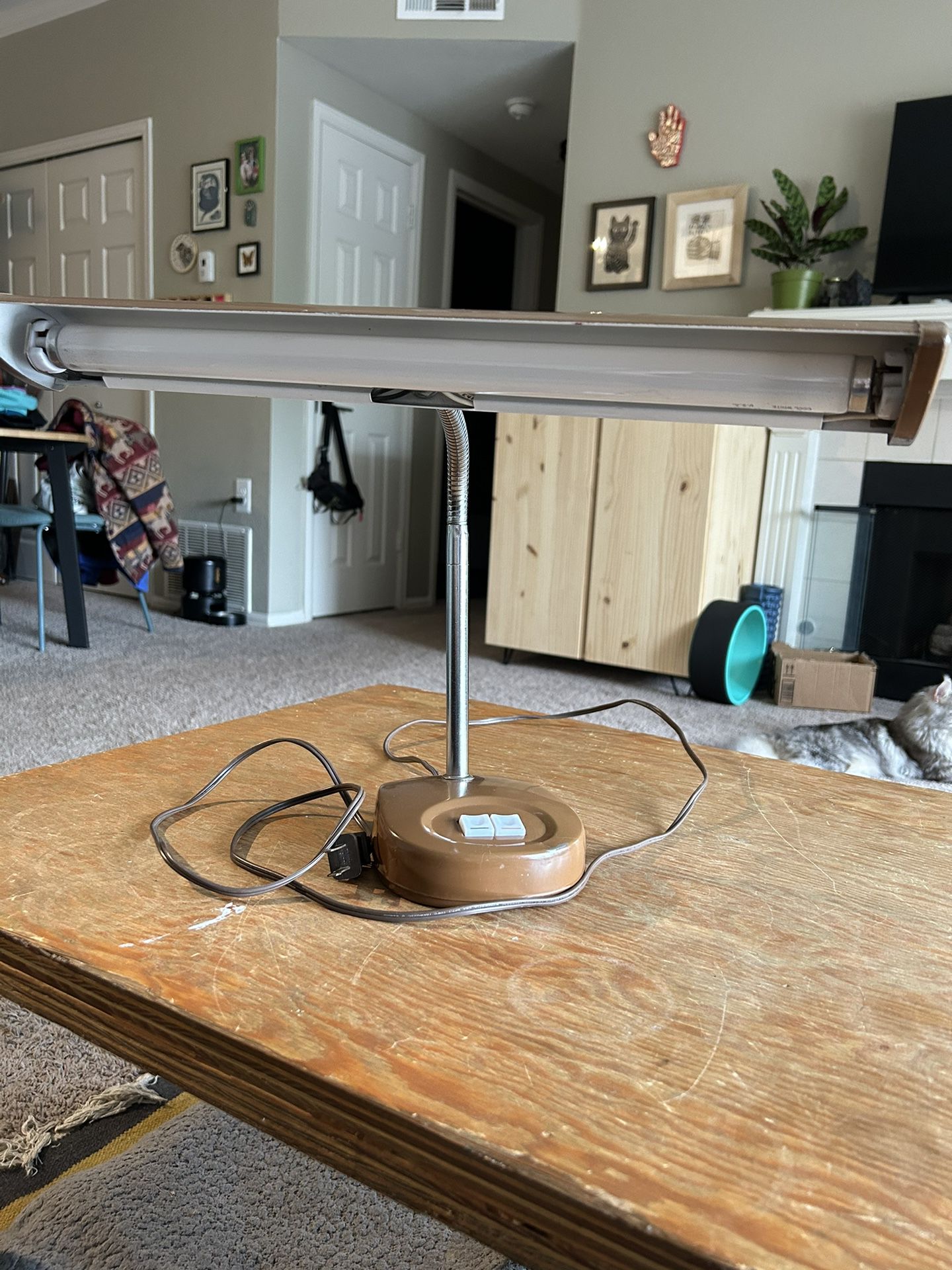 Mid Century Modern 1970s Desk Lamp (works)