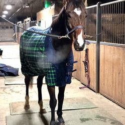 75” Fleece Cooler For Horse 