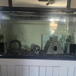 55 Gallon Fishtank