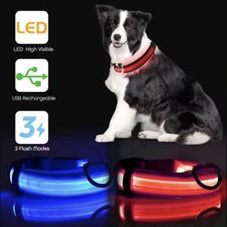 LED Dog Collars