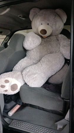 Giant bear