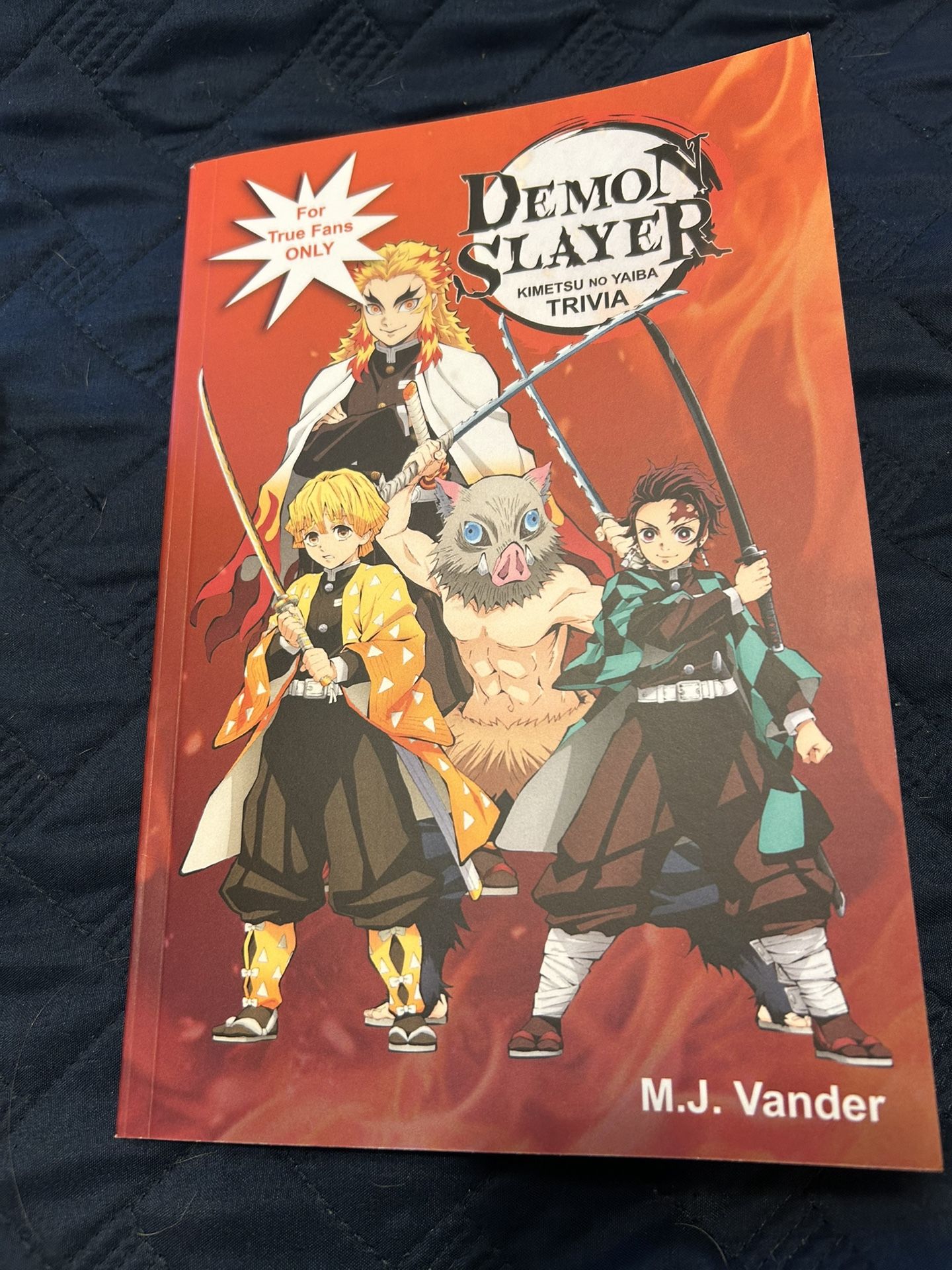 Demon Slayer Anime Trivia Book - Perfect Condition