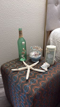 Seashell decor