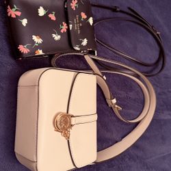 Get Two Crossbody Purses For $55