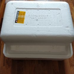 Foam Cooler For Picnic And Party