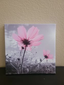 4 pics like new