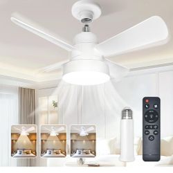 LED Socket Fan Light $25