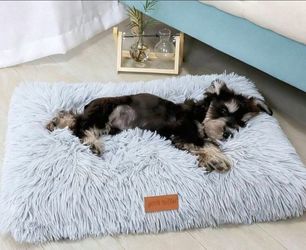 Pet Bed (New)