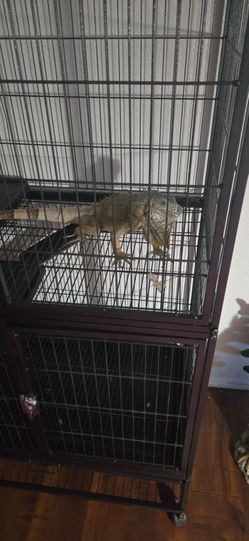 Cage
