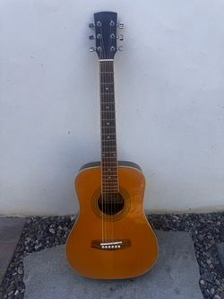 Ibanez daytripper