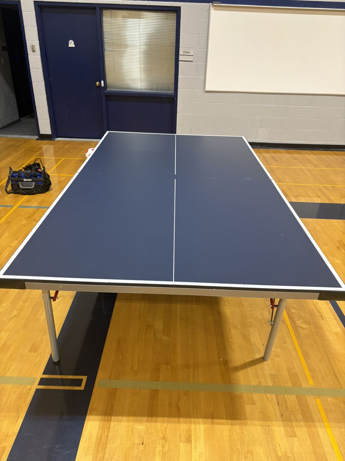 Ping Pong Table #1