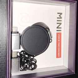 Mini Voice Recorder