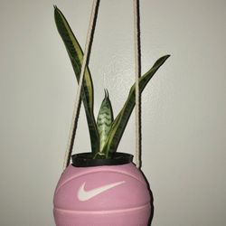Basketball Planters