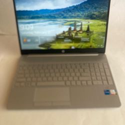 HP 15 inch laptop w/ 512GB drive & 32GB RAM