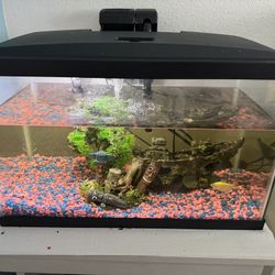 10 Gallon Fish Tank With Lots Of Accessories