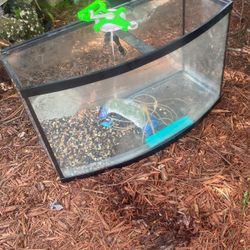 Fish Tank , Reptile Tank Used Curved Front Glass 