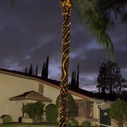 Decorative Low VoltageLights Warm white
