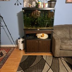 65g Aquarium With Stand Fully Stocked