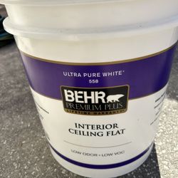 Ceiling Paint 
