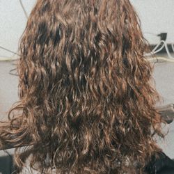 100% Authentic Human Hair Wig 199$