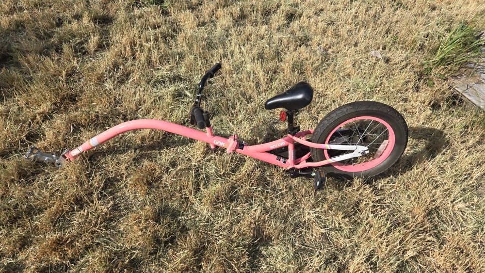 Bike Trailer