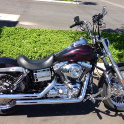 2008 Harley Davidson Dyna Street Bob