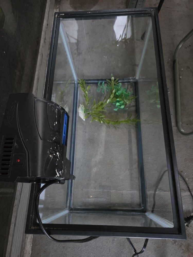 Fish tank Dimensions 20L x 10W x 12"H