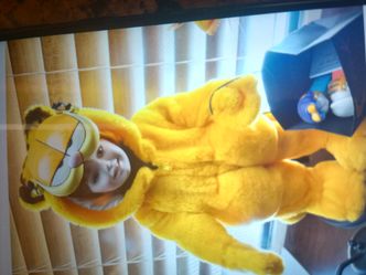 Porcelain dolls set from Garfield it's Garfield and Odie perfect have papers no box the set is 195