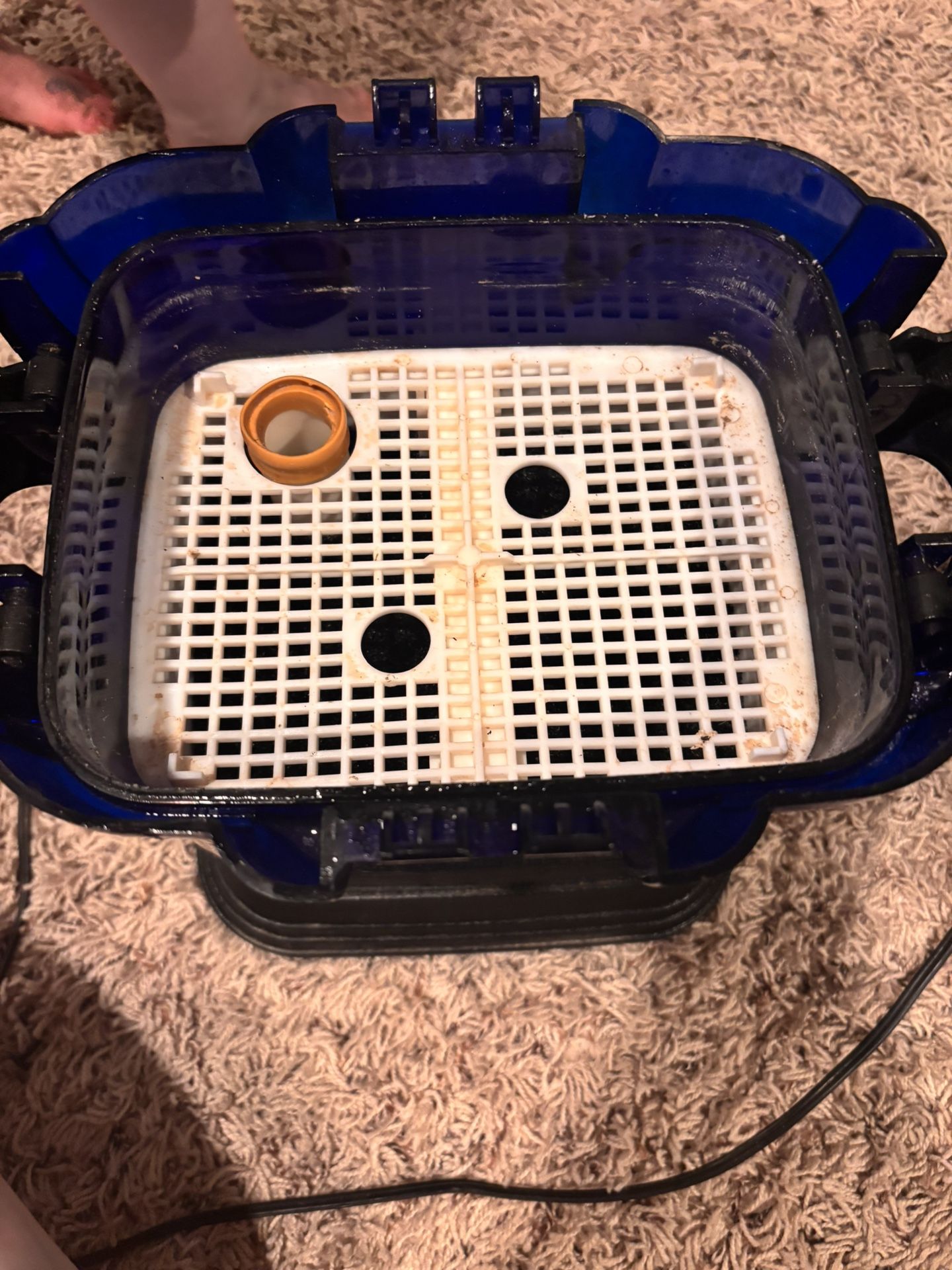 75 Gallon Aquarium, Water Filter 