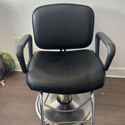 Professional Hydraulic Salon Styling Chair