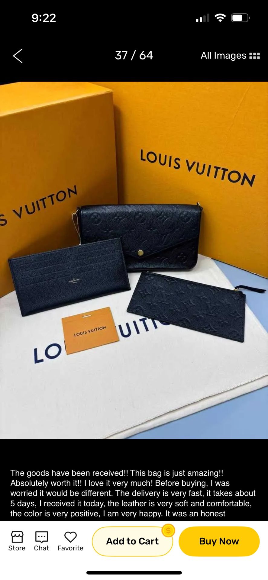 Louis Vuitton Pochette Felicie (B)