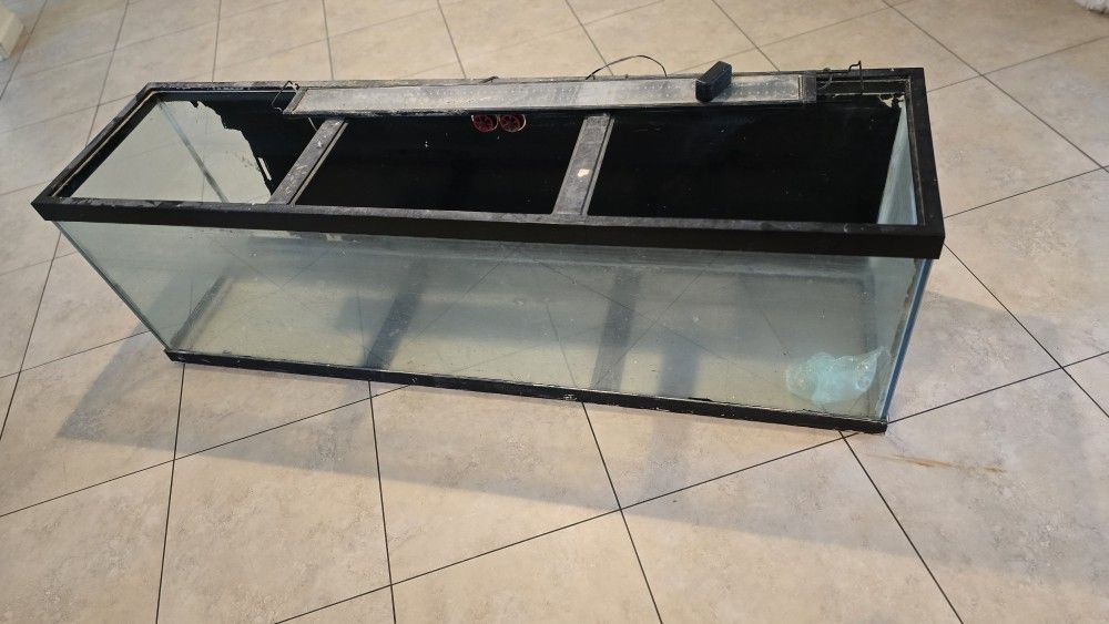 Large 132g Fish Tank 