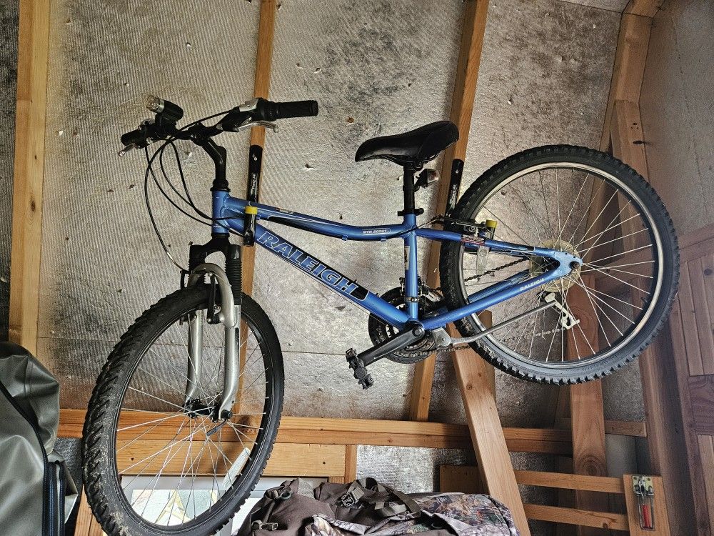 Girls MOUNTAIN BIKE