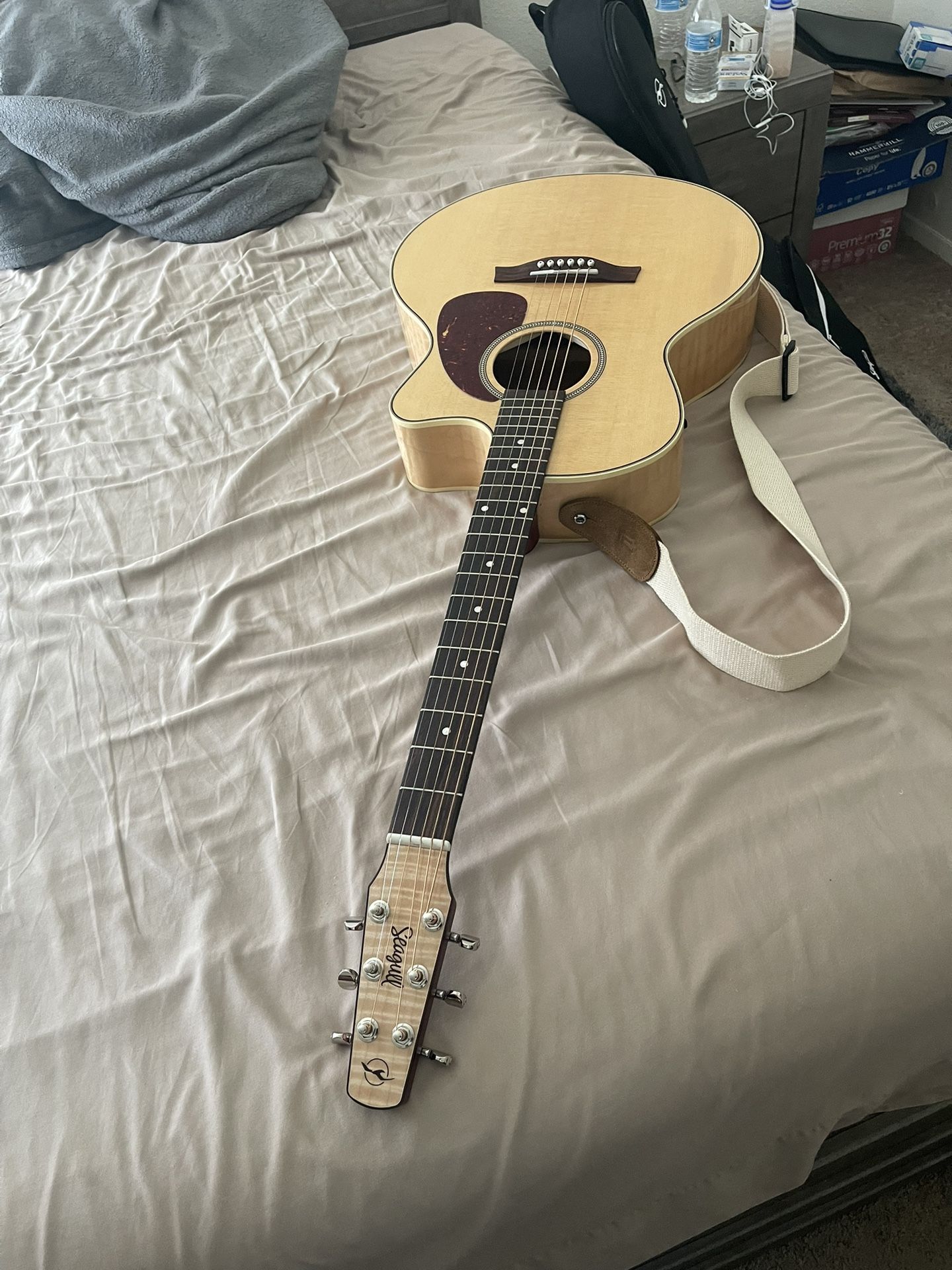 Brand New Seagull Guitar