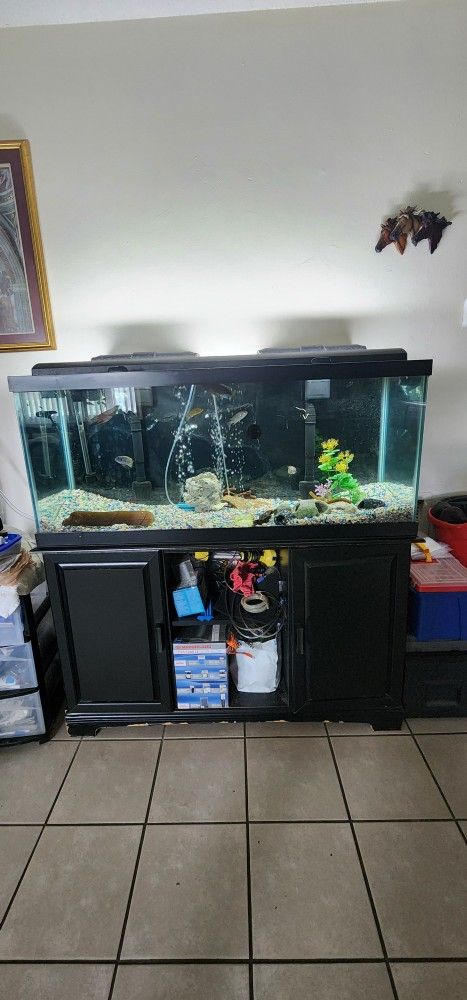 75 Gallons Fish Tank & Stand