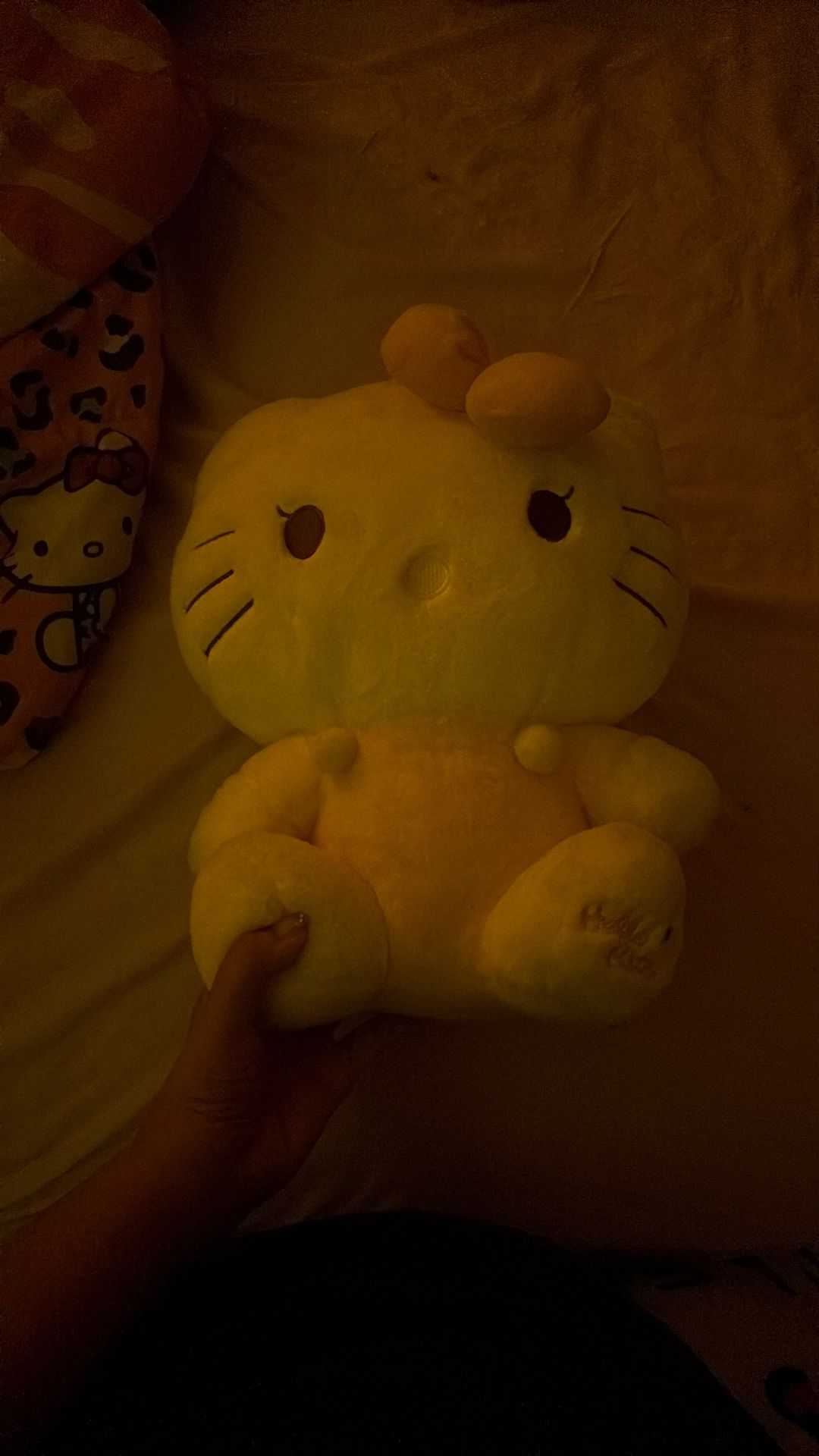 hello kitty bag