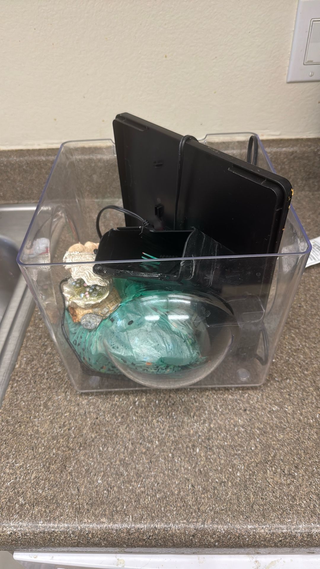 Fish Tank
