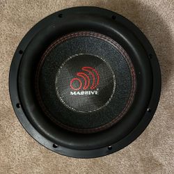 Massive Hippo 10 Inch Speakers 