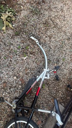 Copilot bike weeride