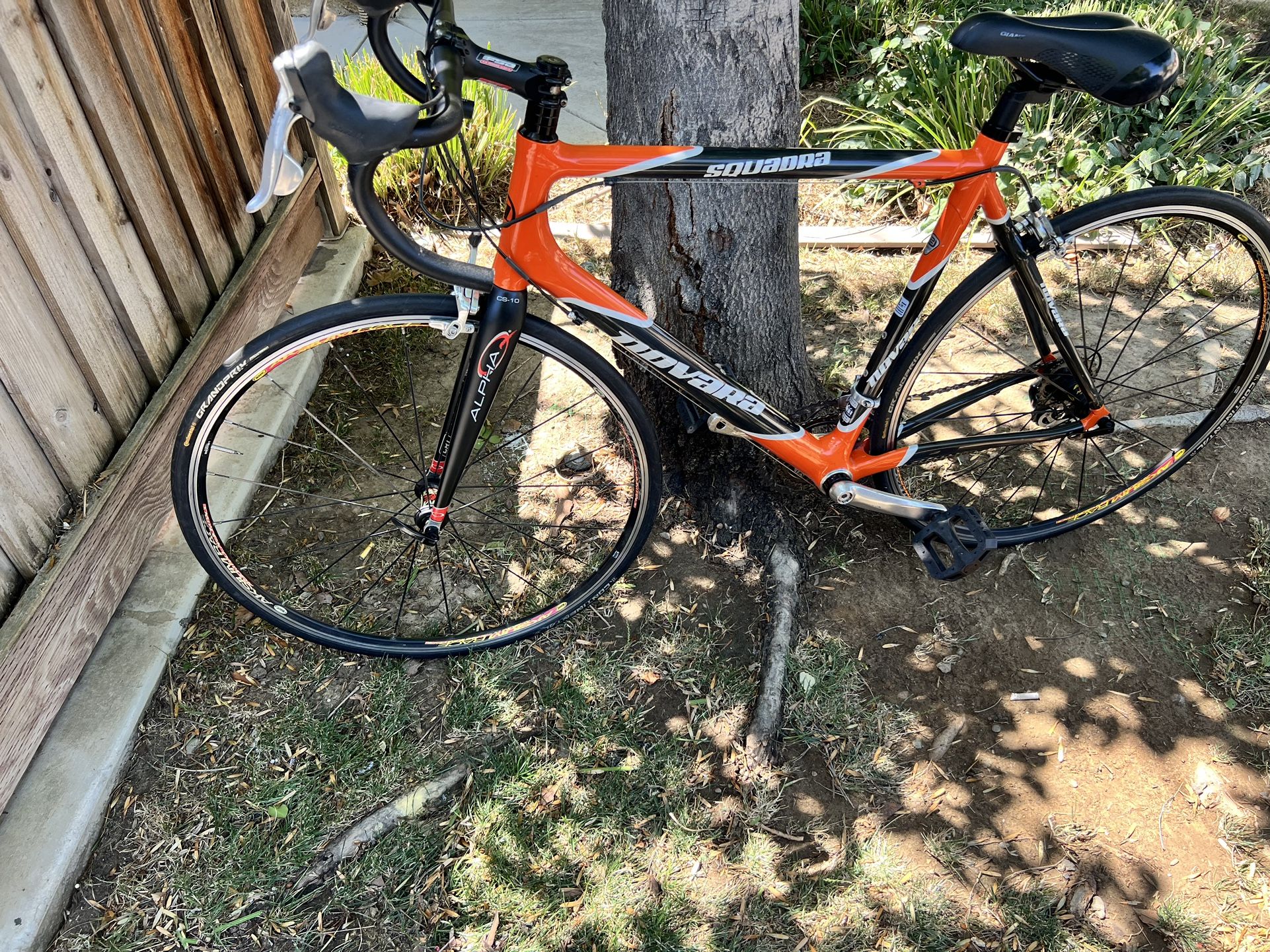 Novara Squadra Road Bike