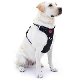 New L Dog  Harness. 4 Pt Comfort System. Stops Lunges