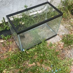 20 Gallon Tank 