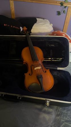 student viola