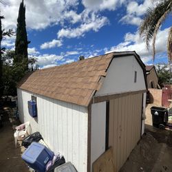Shed 